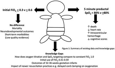 Is There a “Right” Amount of Oxygen for Preterm Infant Stabilization at Birth?